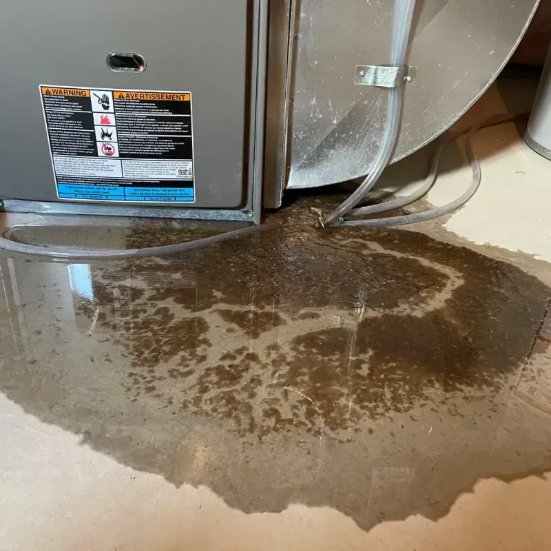 Appliance Leak Cleanup in Mercer County, IL